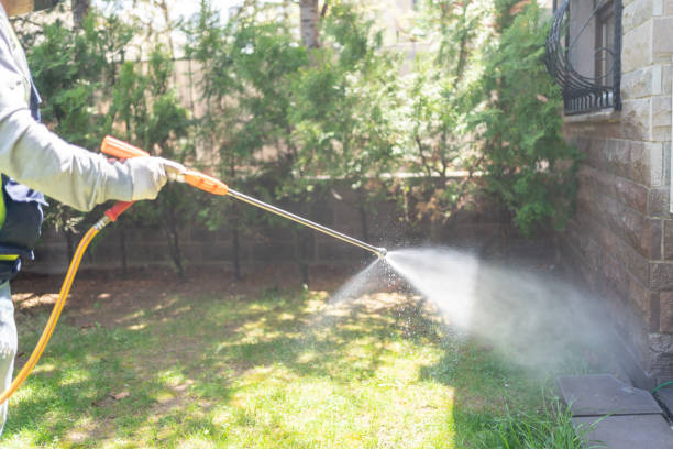 Bird Control in Bristol, IN