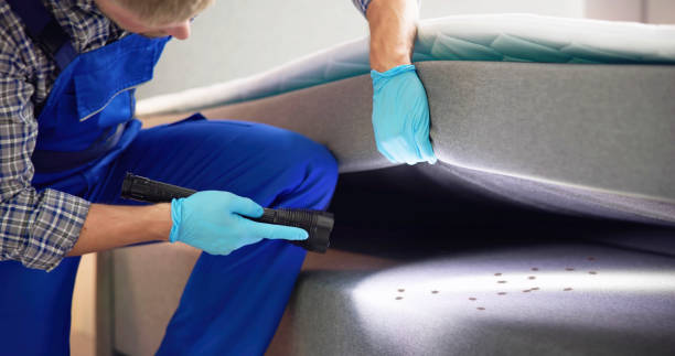 Best Pest Control Treatment  in Bristol, IN