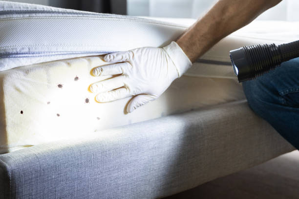 Best Rat Extermination Near Me  in Bristol, IN