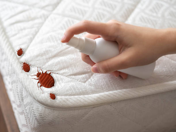 Best Pest Prevention Services  in Bristol, IN