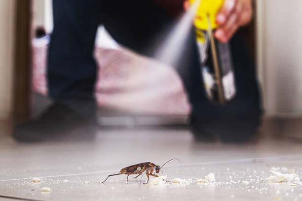 Best Pest Prevention Services  in Bristol, IN