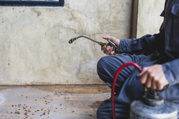 Best Emergency Pest Control  in Bristol, IN